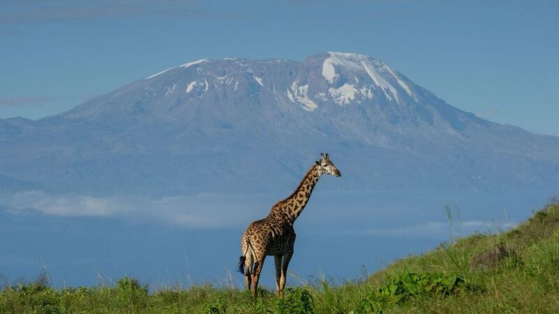 Arusha National Park