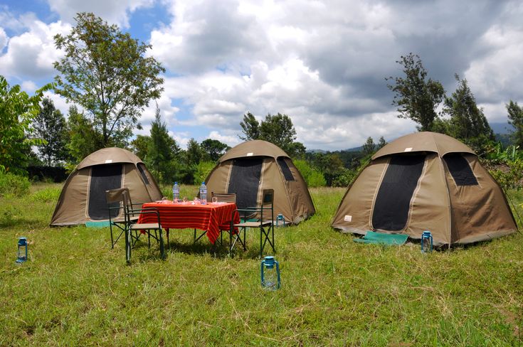 Camping Safari